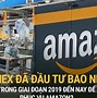 Cty Gilimex Kiện Amazon Việt Nam Là Gì