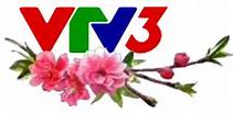 Vtv3 Hd Logo Tết